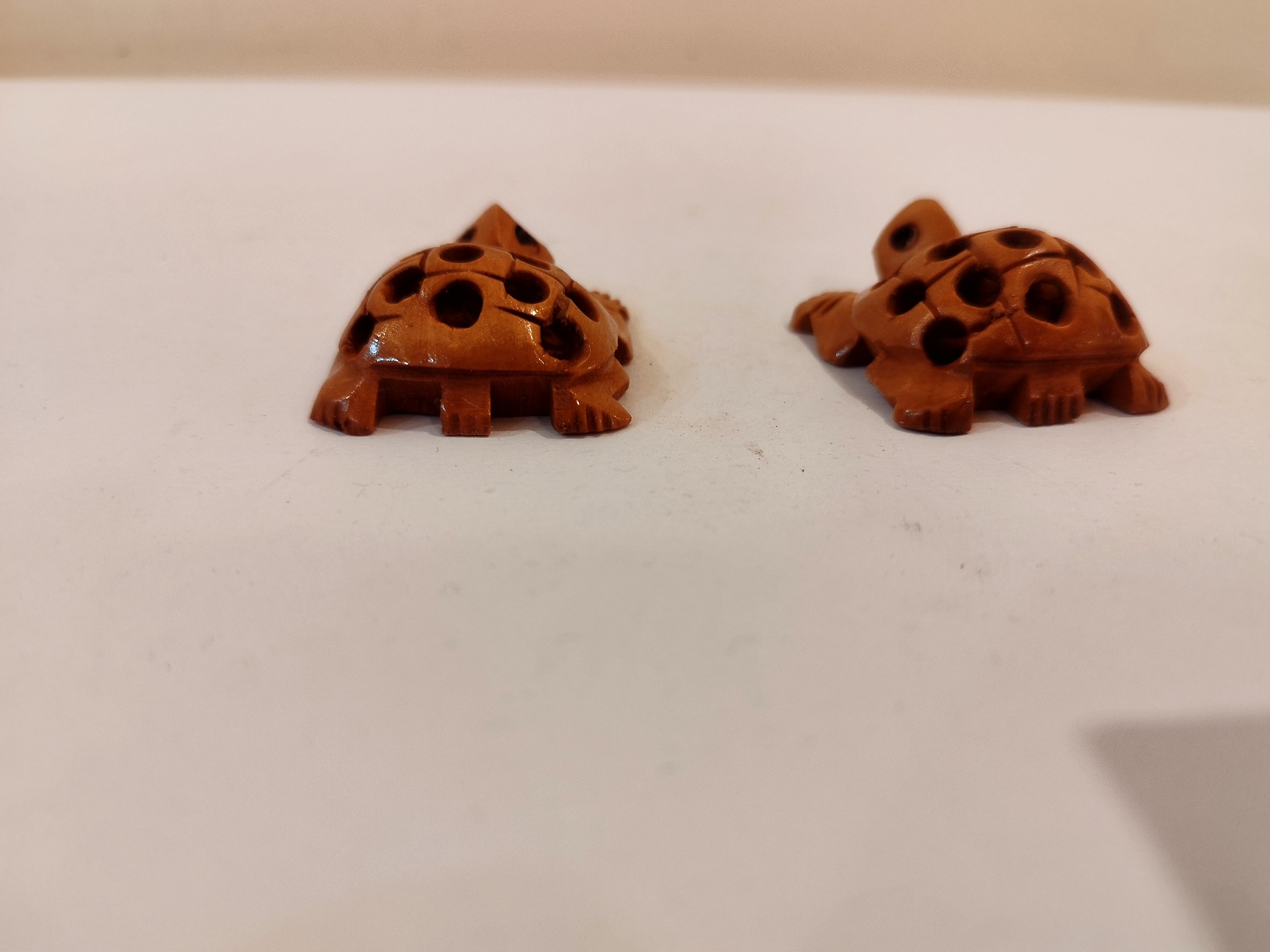 Handcrafted Kadam Wood Tortoise pair in net design Spiritual Decor